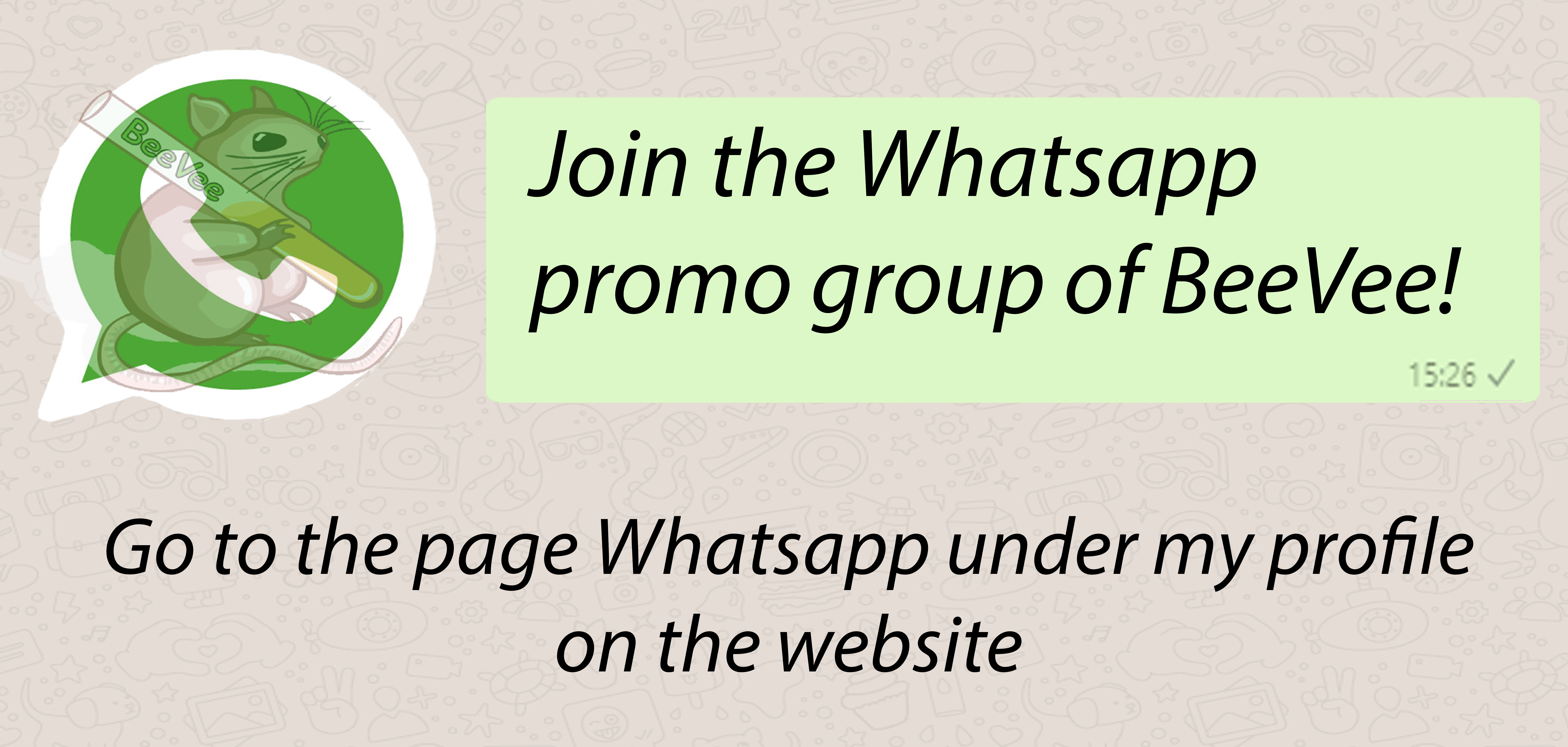 WhatsApp promo group